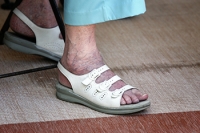 Aging and Biomechanics of the Feet
