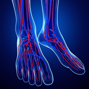 Causes of Poor Circulation in the Feet